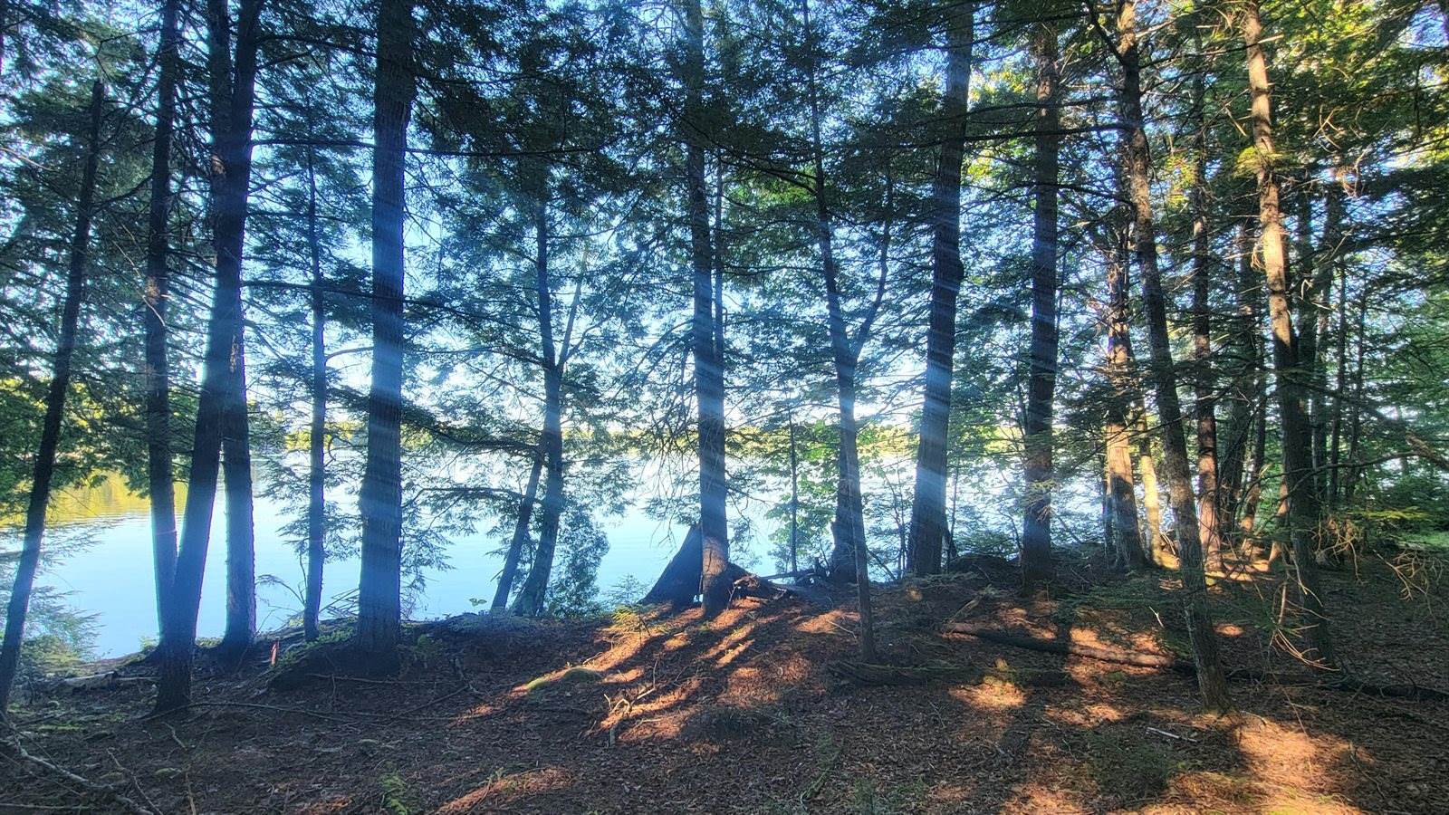 T1R8 WELS Millinocket Lake, Millinocket, ME 04462
