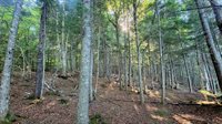 T1R8 WELS Millinocket Lake, Millinocket, ME 04462