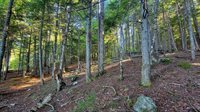 T1R8 WELS Millinocket Lake, Millinocket, ME 04462