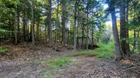 T1R8 WELS Millinocket Lake, Millinocket, ME 04462