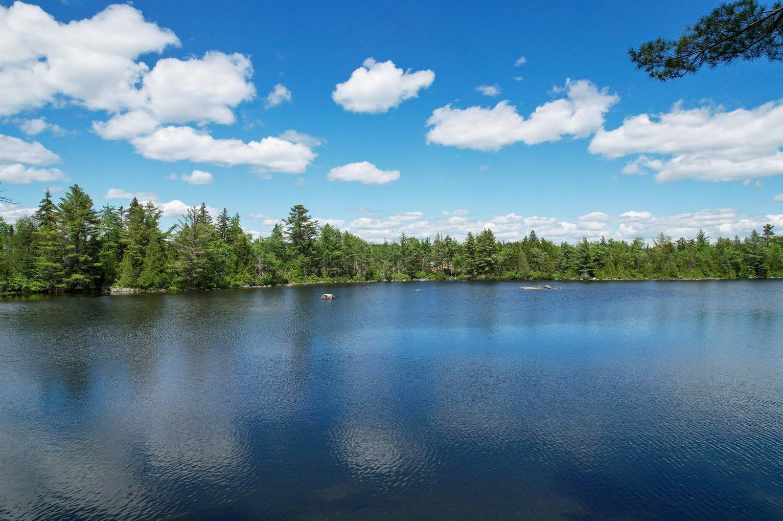 16 Center Road, Cooper, ME 04657