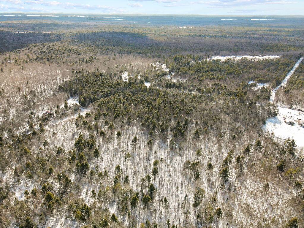 Lot 39 Dolliff Road, Alton, ME 04468