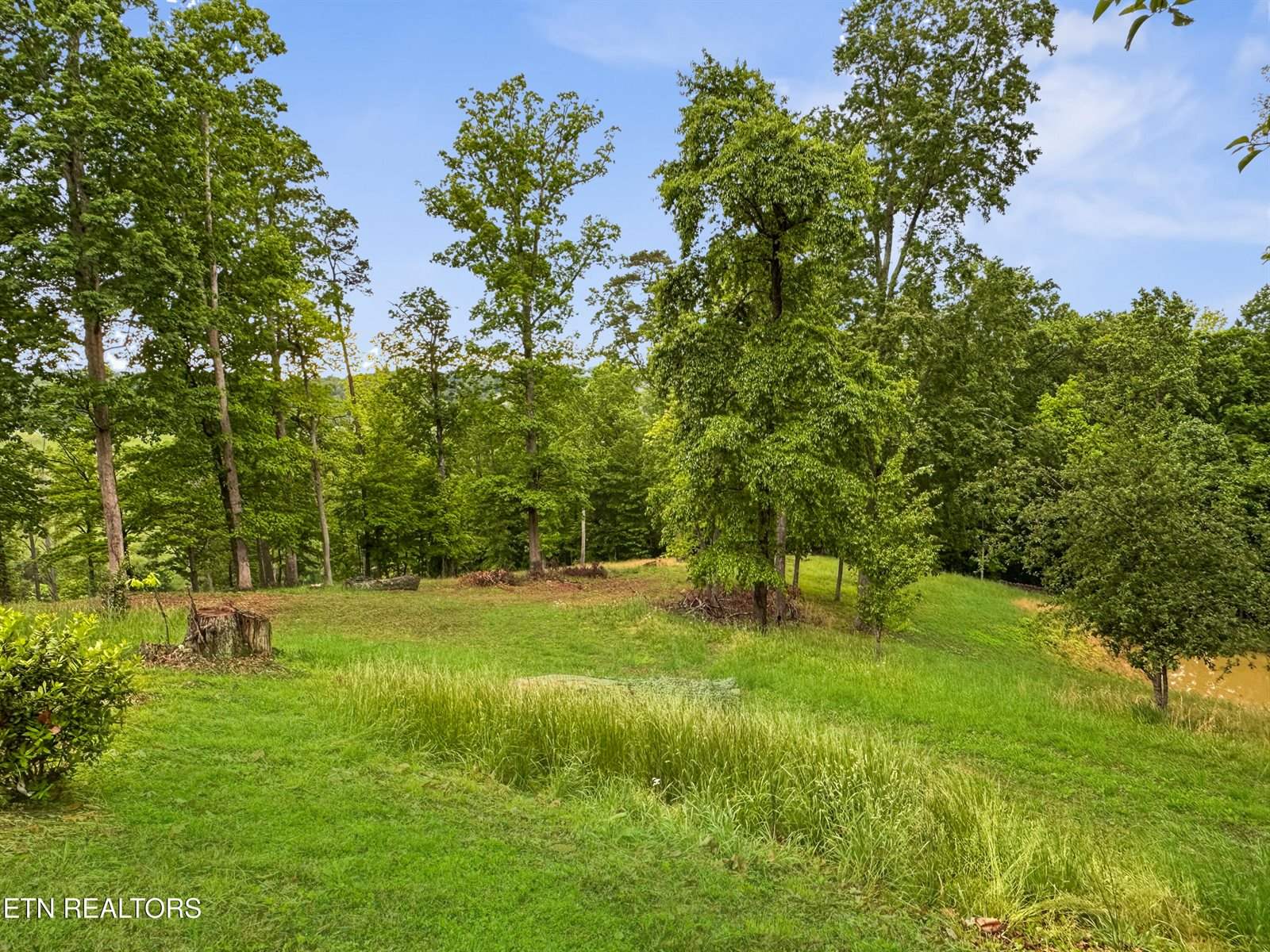 450 Buffalo Lane, Tazewell, TN 37879