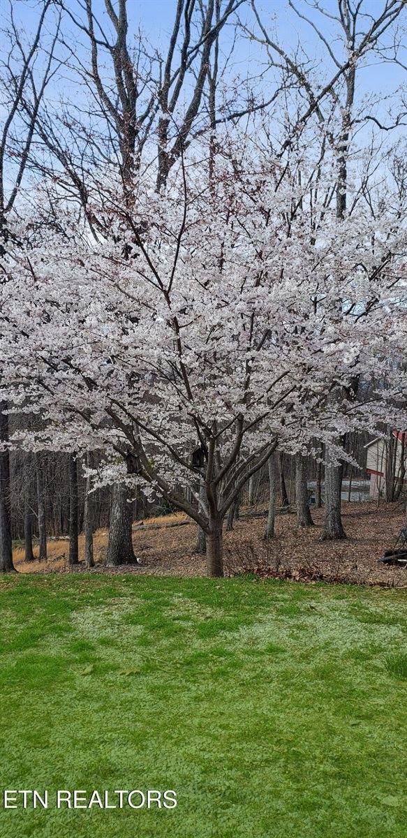 450 Buffalo Lane, Tazewell, TN 37879