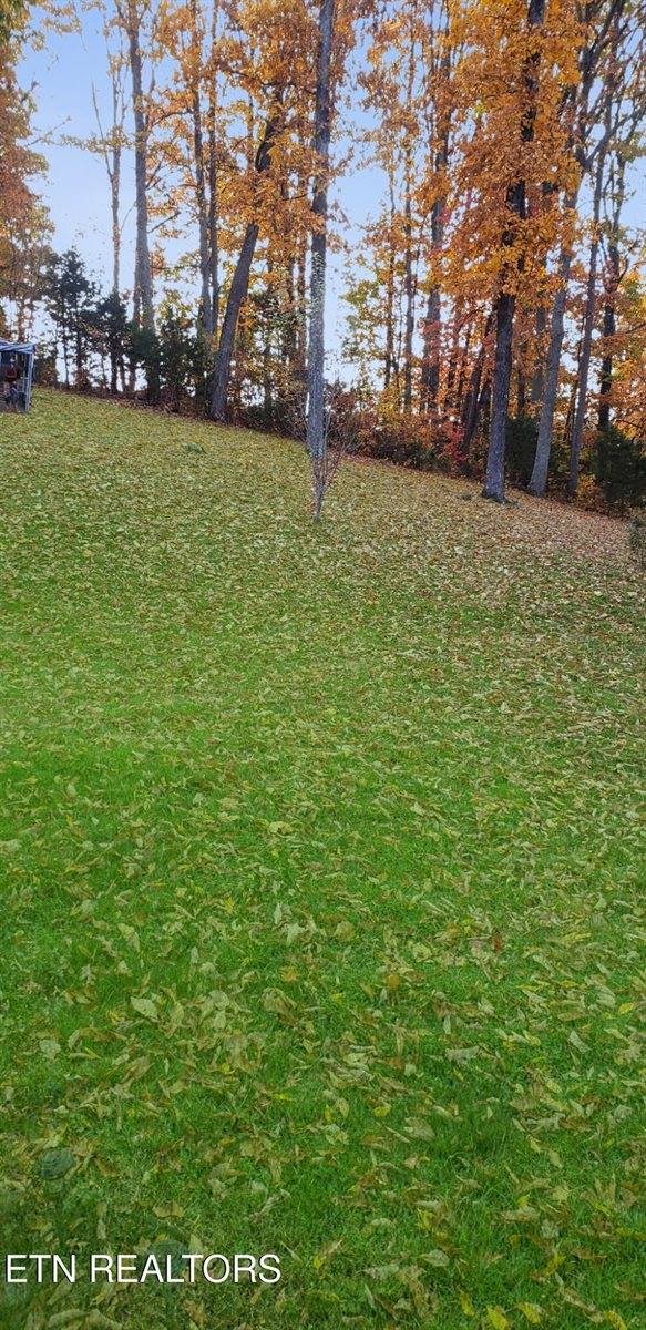 450 Buffalo Lane, Tazewell, TN 37879