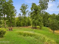 450 Buffalo Lane, Tazewell, TN 37879