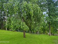 450 Buffalo Lane, Tazewell, TN 37879