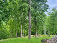 450 Buffalo Lane, Tazewell, TN 37879