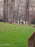450 Buffalo Lane, Tazewell, TN 37879