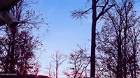 450 Buffalo Lane, Tazewell, TN 37879