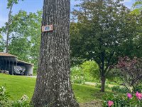450 Buffalo Lane, Tazewell, TN 37879