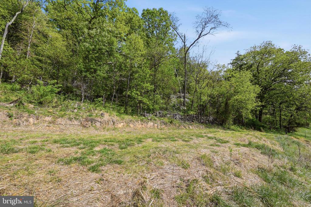 0 Bentonville Road, Bentonville, VA 22610
