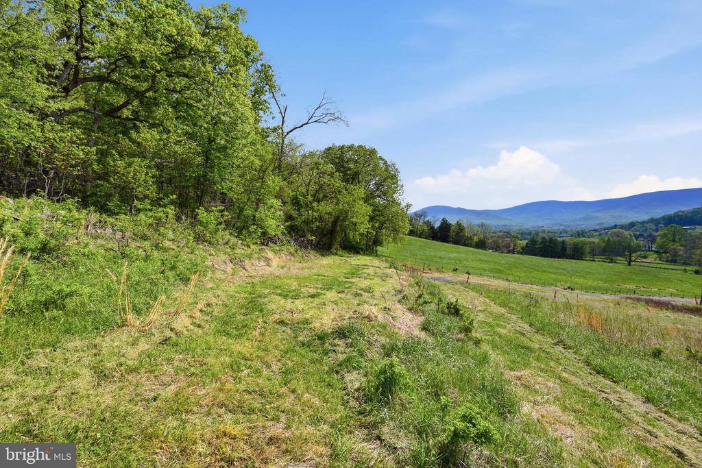 0 Bentonville Road, Bentonville, VA 22610