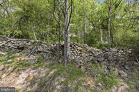 0 Bentonville Road, Bentonville, VA 22610