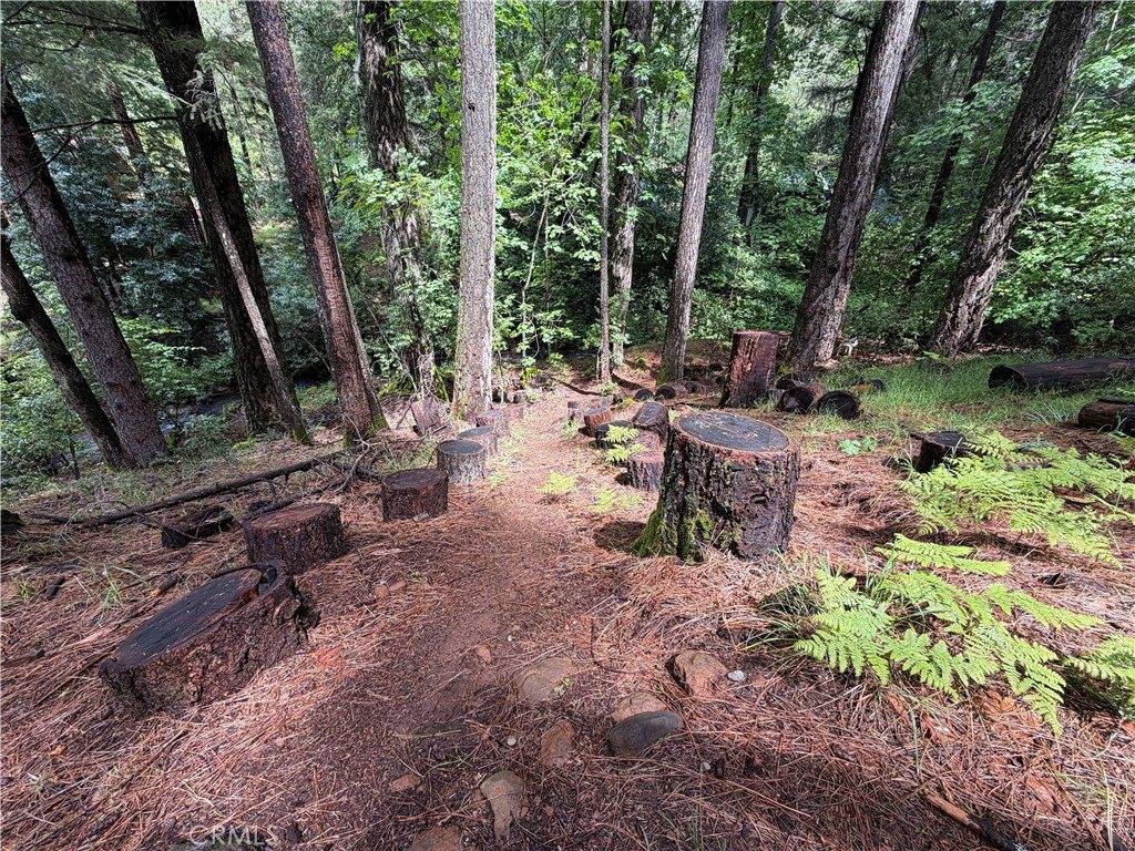 16498 Cobb, Cobb, CA 95426