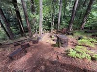 16498 Cobb, Cobb, CA 95426