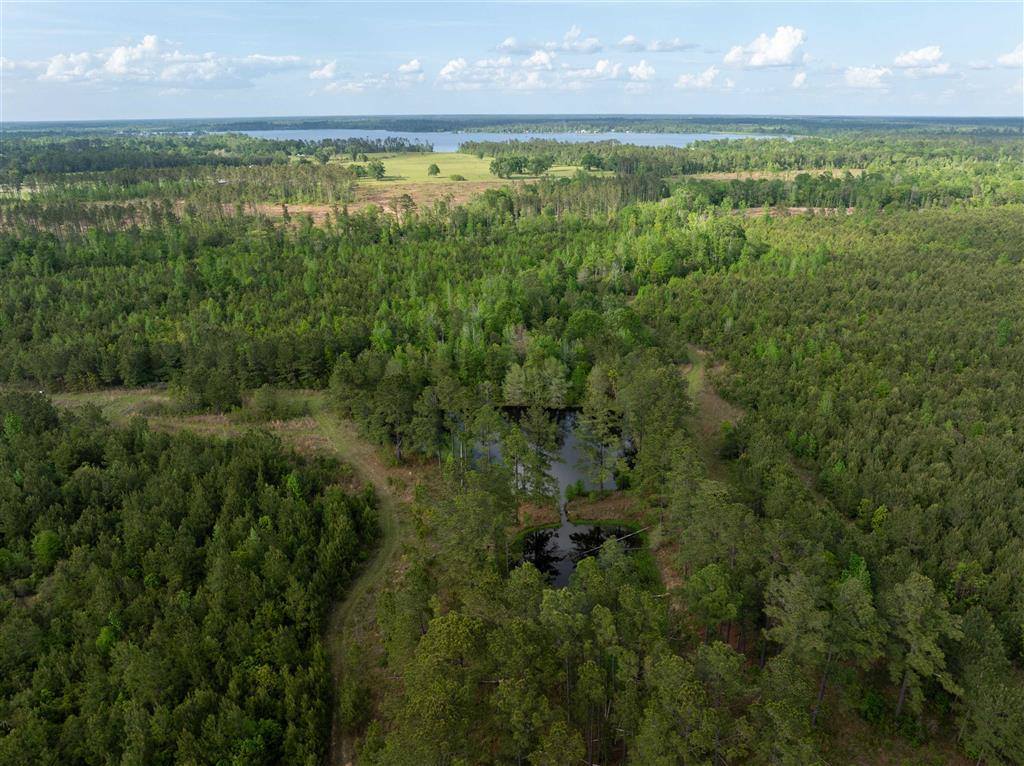 0 Odis Greene Road, DeRidder, LA 70634
