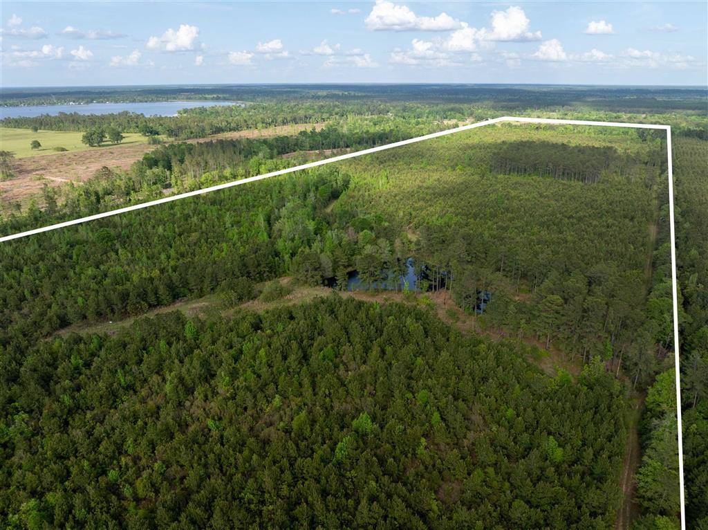 0 Odis Greene Road, DeRidder, LA 70634