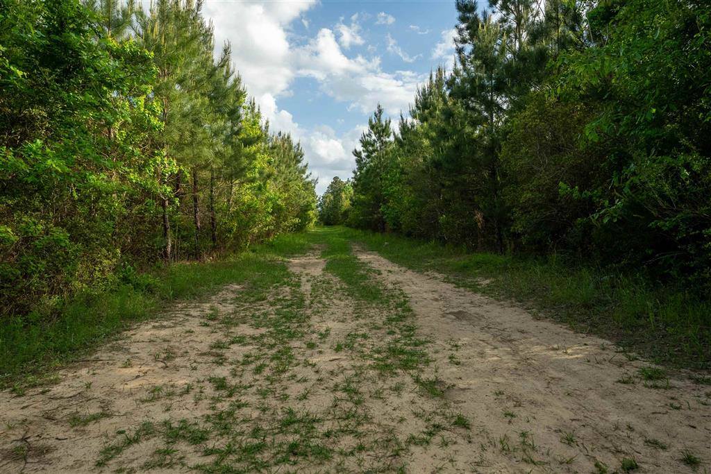 0 Odis Greene Road, DeRidder, LA 70634