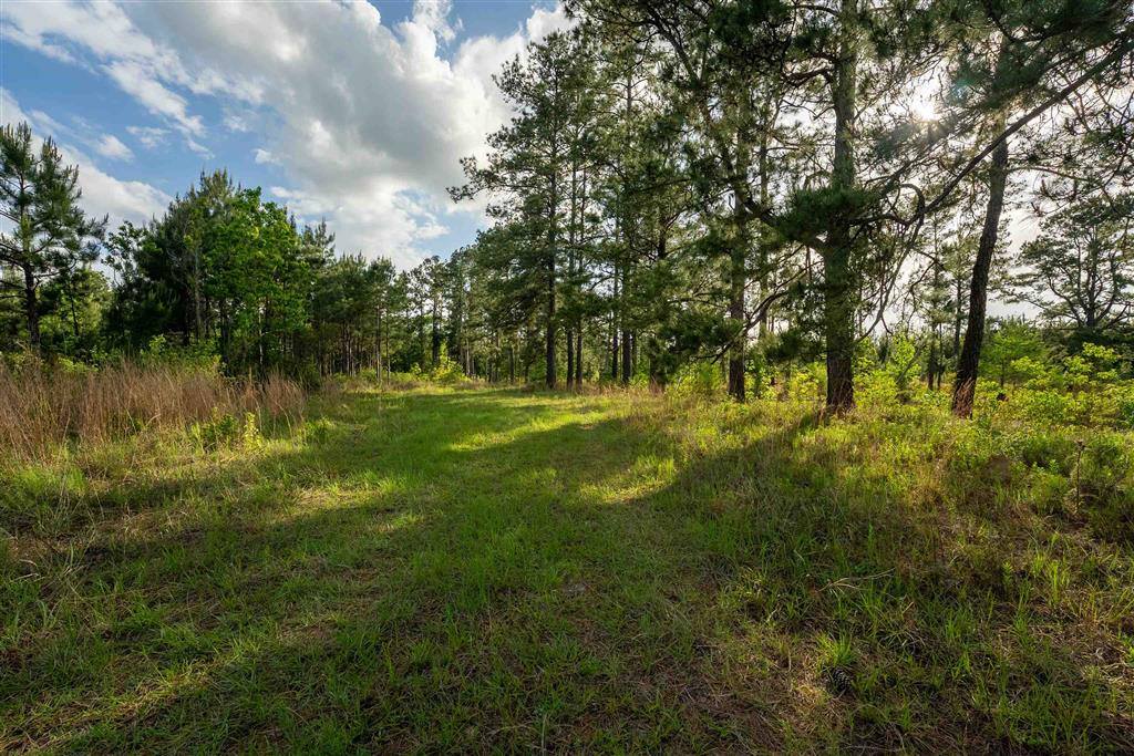 0 Odis Greene Road, DeRidder, LA 70634