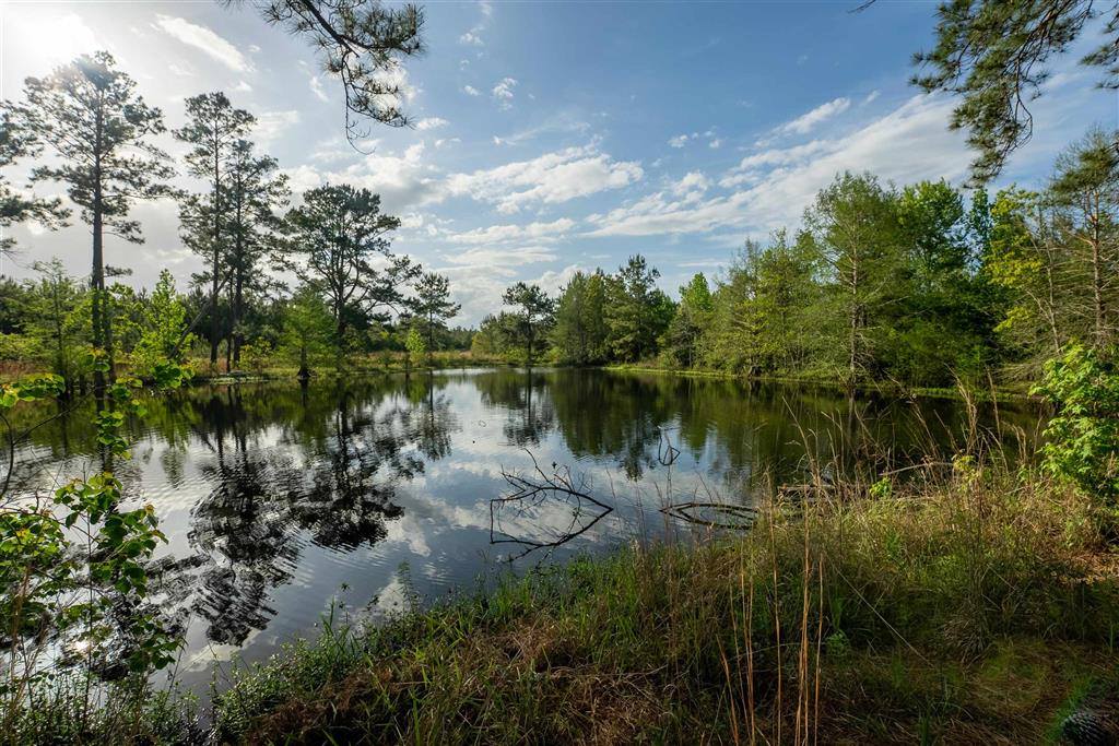 0 Odis Greene Road, DeRidder, LA 70634