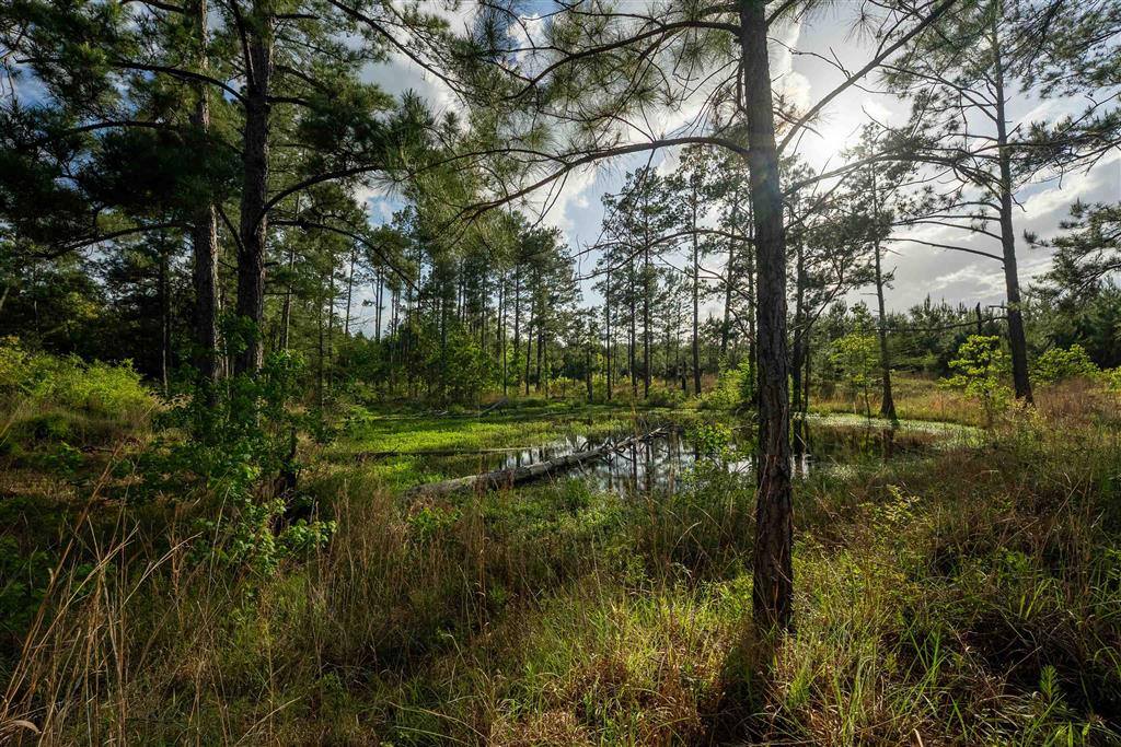 0 Odis Greene Road, DeRidder, LA 70634