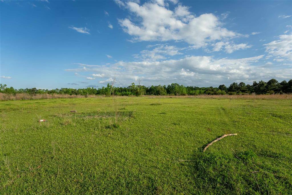 0 Odis Greene Road, DeRidder, LA 70634