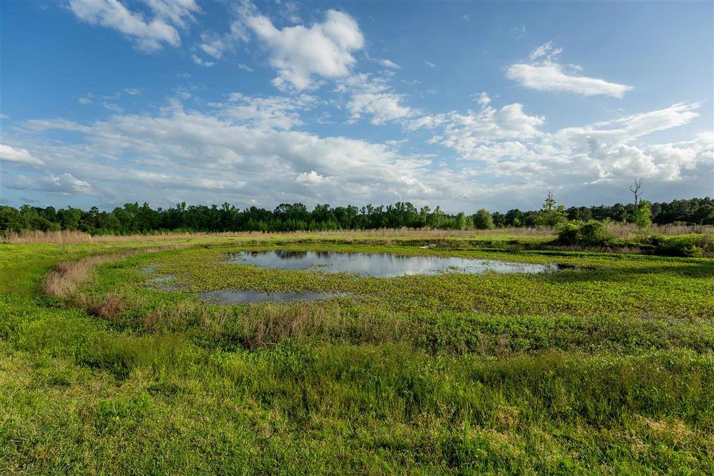 0 Odis Greene Road, DeRidder, LA 70634