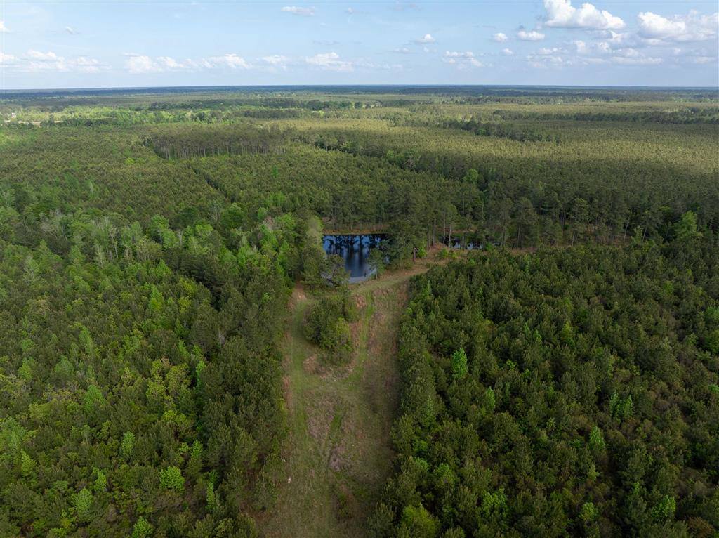 0 Odis Greene Road, DeRidder, LA 70634