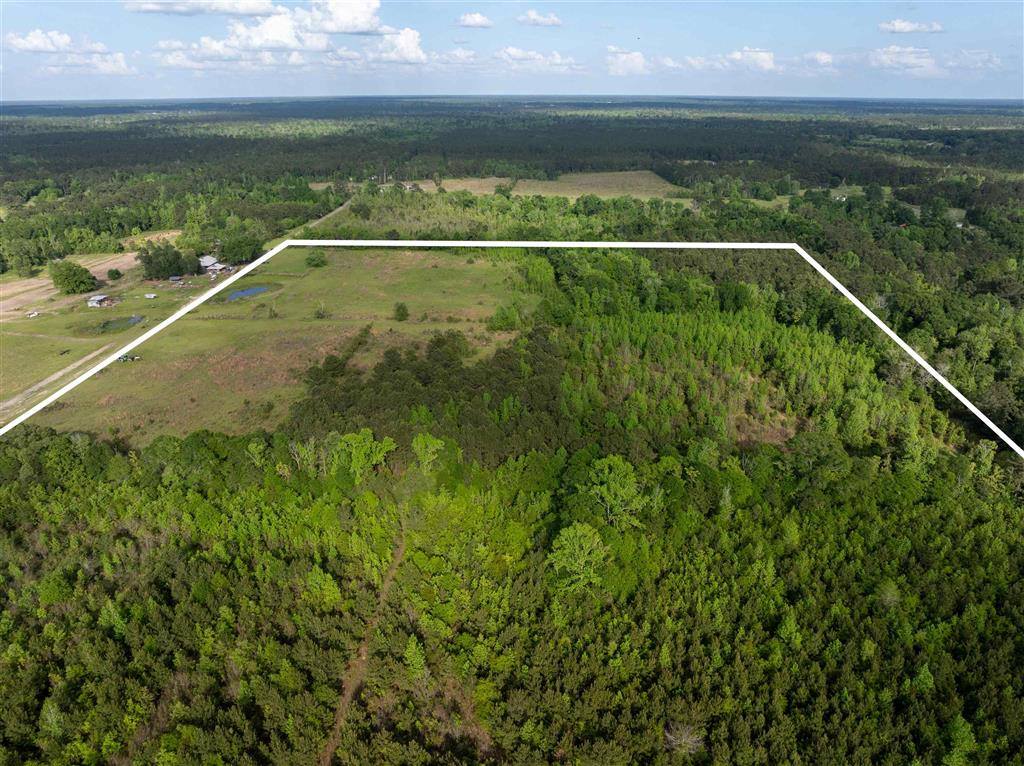 0 Odis Greene Road, DeRidder, LA 70634