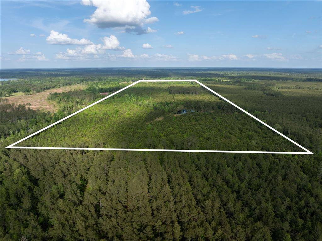 0 Odis Greene Road, DeRidder, LA 70634