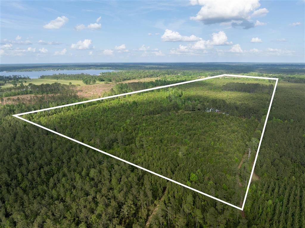 0 Odis Greene Road, DeRidder, LA 70634