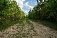 0 Odis Greene Road, DeRidder, LA 70634