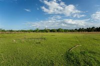 0 Odis Greene Road, DeRidder, LA 70634