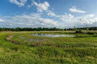 0 Odis Greene Road, DeRidder, LA 70634