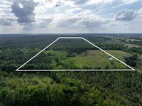 0 Odis Greene Road, DeRidder, LA 70634