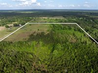 0 Odis Greene Road, DeRidder, LA 70634