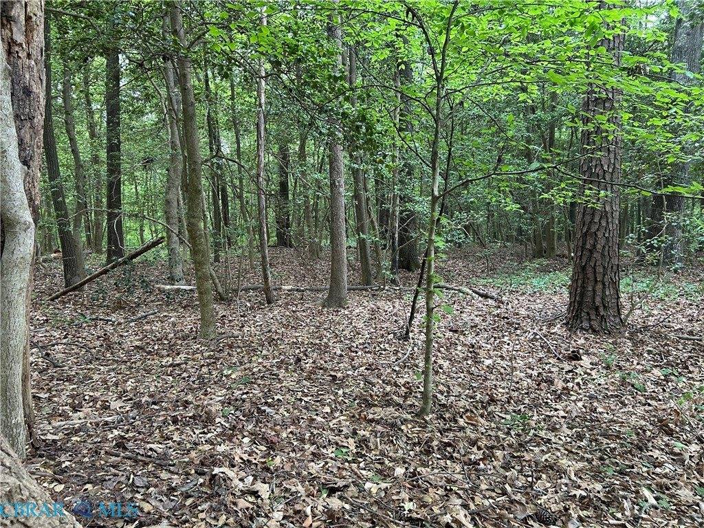 OO Lees Landing Lane, Saluda, VA 23149