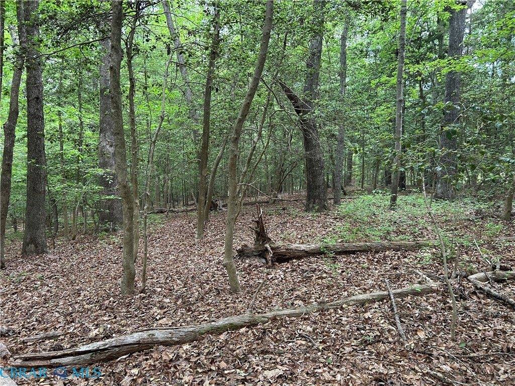 OO Lees Landing Lane, Saluda, VA 23149
