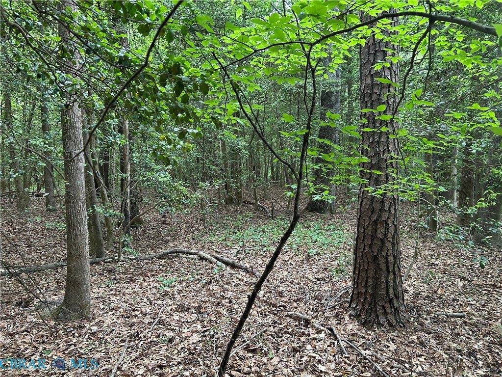 OO Lees Landing Lane, Saluda, VA 23149