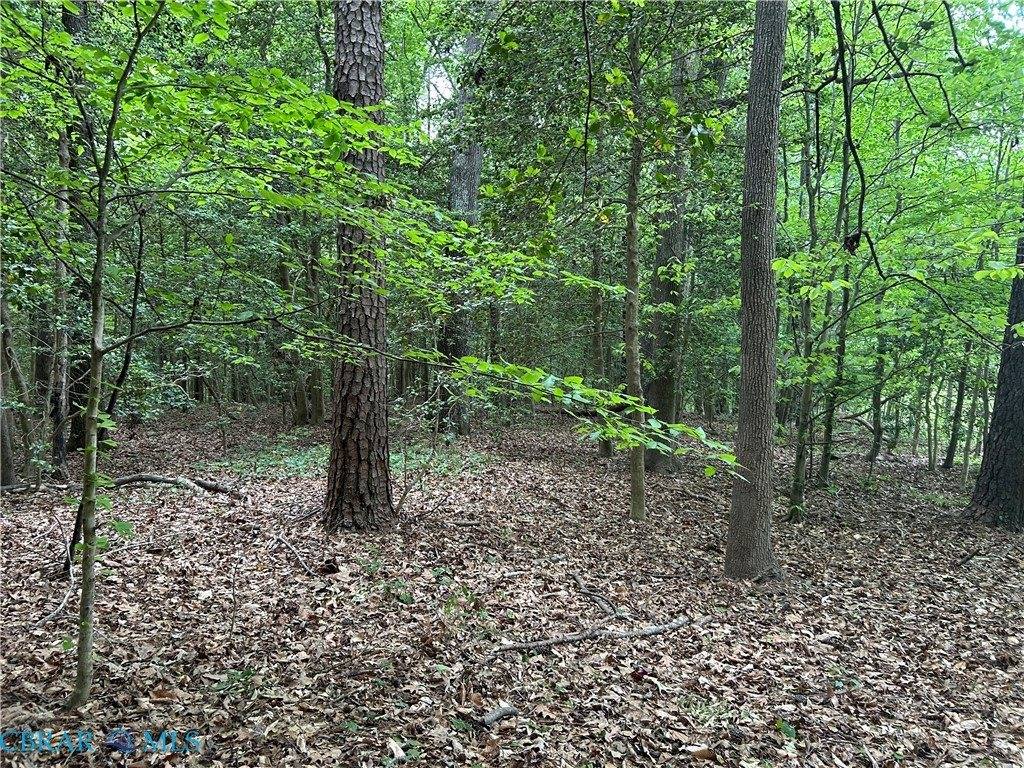 OO Lees Landing Lane, Saluda, VA 23149