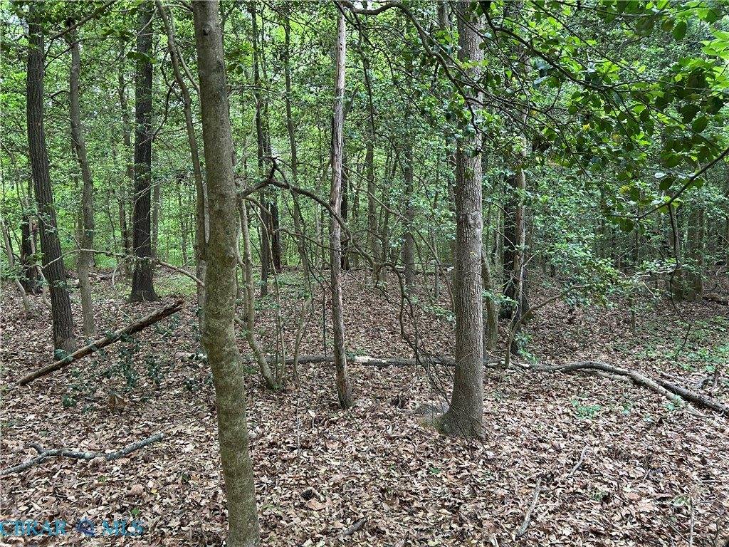 OO Lees Landing Lane, Saluda, VA 23149