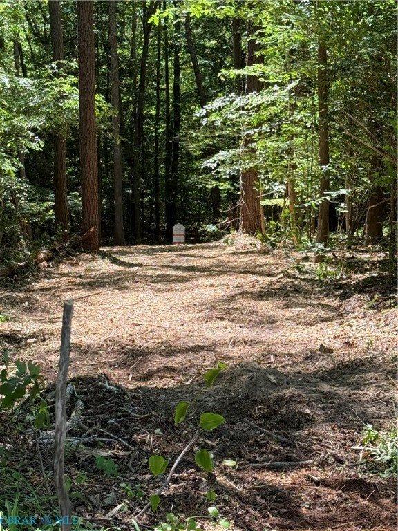 OO Lees Landing Lane, Saluda, VA 23149
