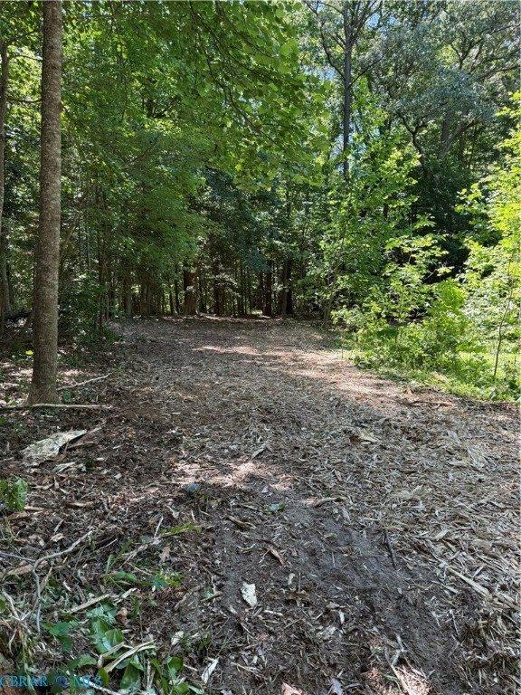OO Lees Landing Lane, Saluda, VA 23149