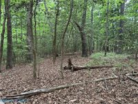 OO Lees Landing Lane, Saluda, VA 23149