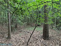OO Lees Landing Lane, Saluda, VA 23149