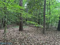 OO Lees Landing Lane, Saluda, VA 23149