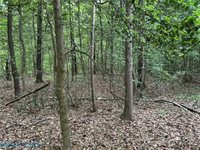 OO Lees Landing Lane, Saluda, VA 23149