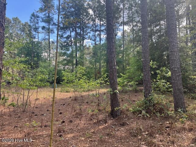 212 Skyline Manor Road, Southern Pines, NC 28387