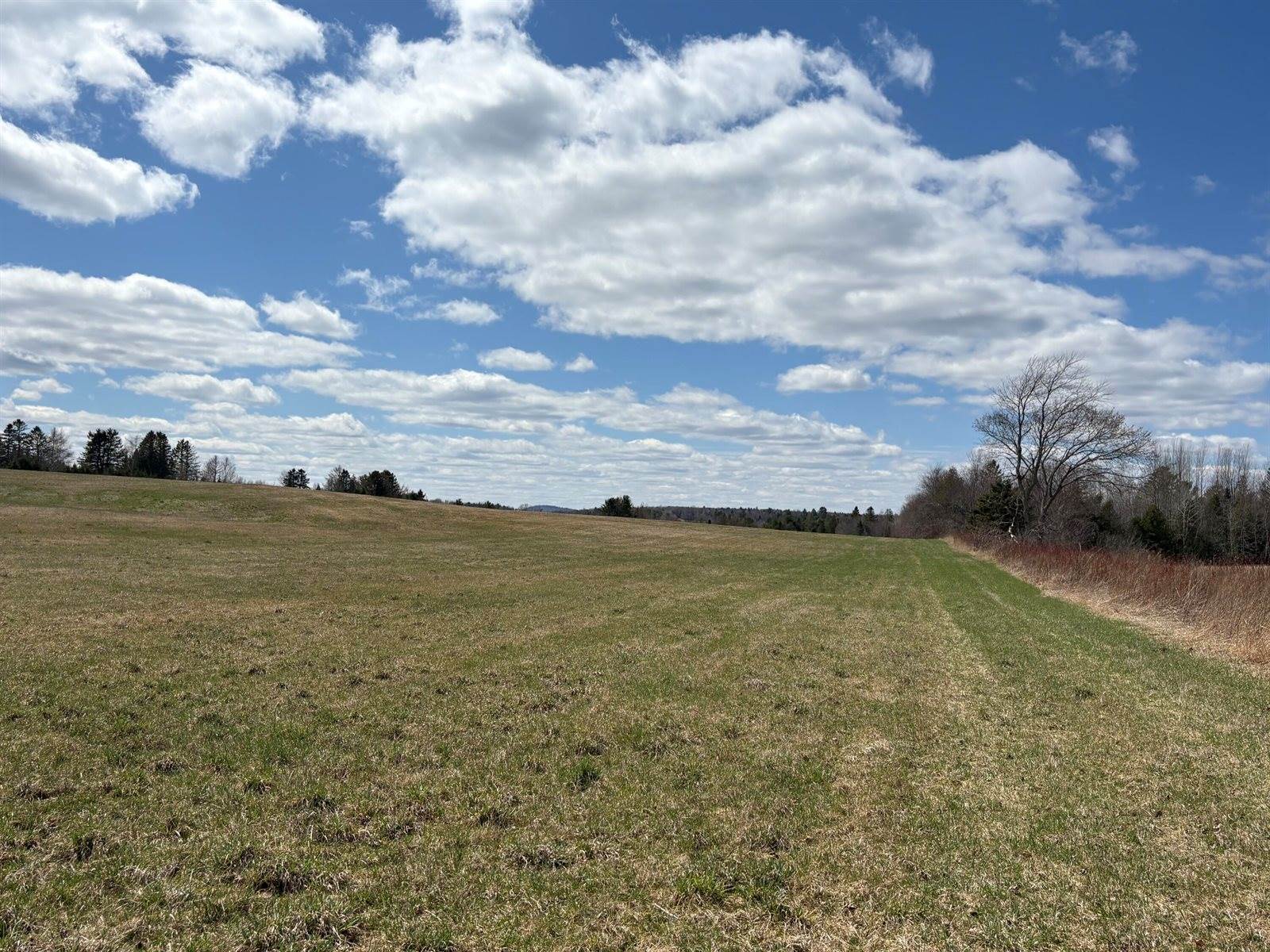 Off Town Line Road, Lee, ME 04455